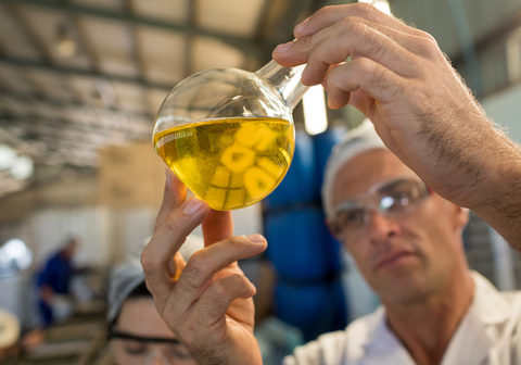 The Golden Essentials: Australia’s Four Hero Wellness Ingredients in Bulk